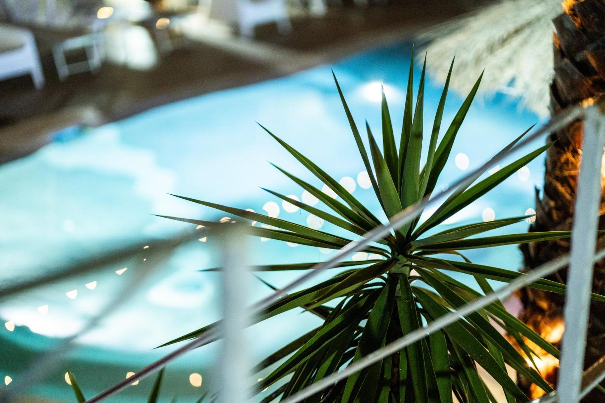 Rhelizeone & Spa جميل — Photos 1